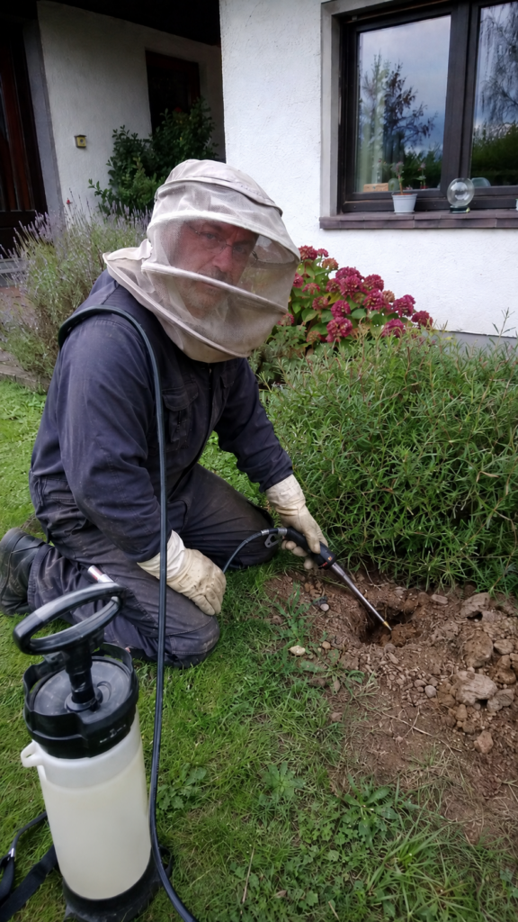 Erdwespen im Garten